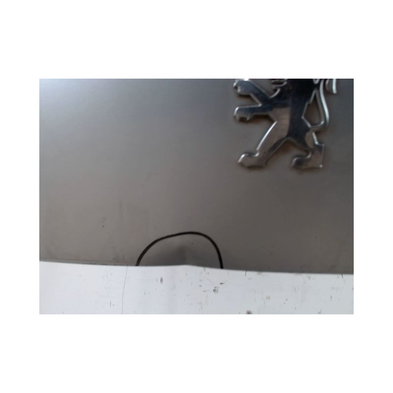 HAYON PEUGEOT 3008 2009-