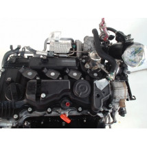 MOTEUR HYBRIDE KIA SPORTAGE 1.6 T-GDi Plug-in Hybrid