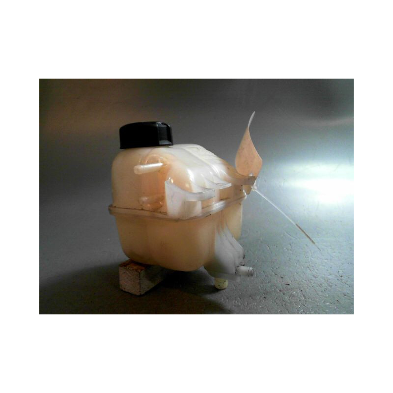 VASE EXPANSION MINI MINI 2006-