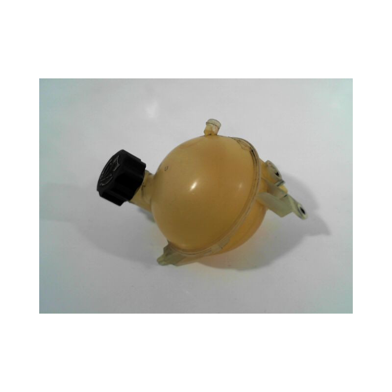 VASE EXPANSION CITROEN C4 04-08