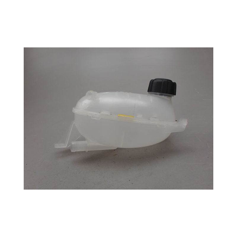 VASE EXPANSION DACIA DUSTER