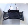 CAPOT RENAULT TWINGO PH.3 2000-2007