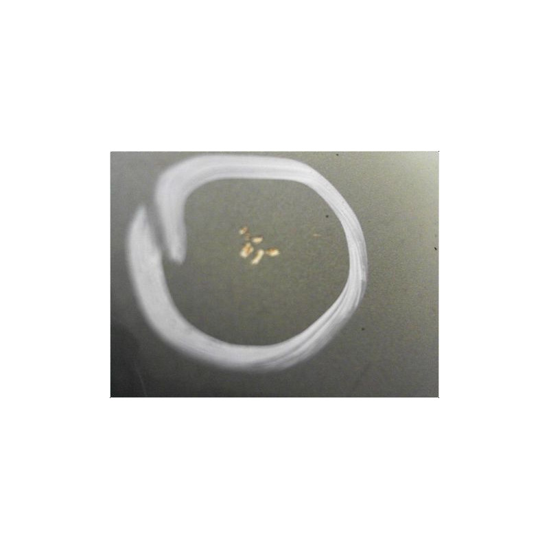 PORTE AVANT DROIT HYUNDAI GETZ 02-05