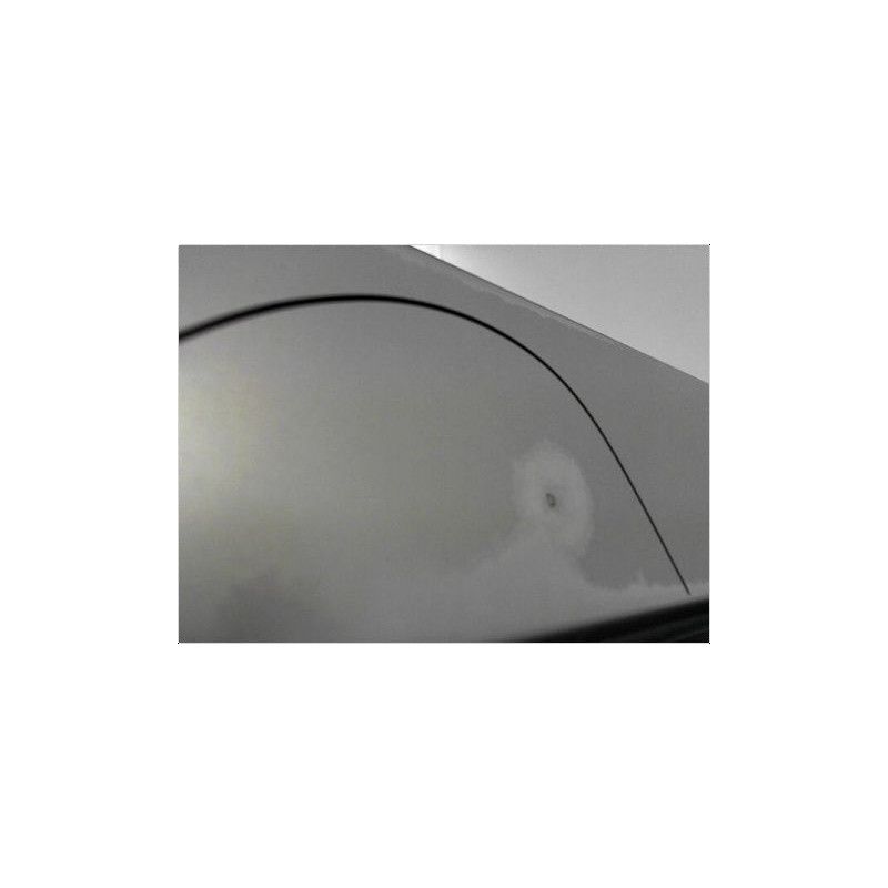 PORTE COULISSANTE GAUCHE RENAULT KANGOO 2000-2003