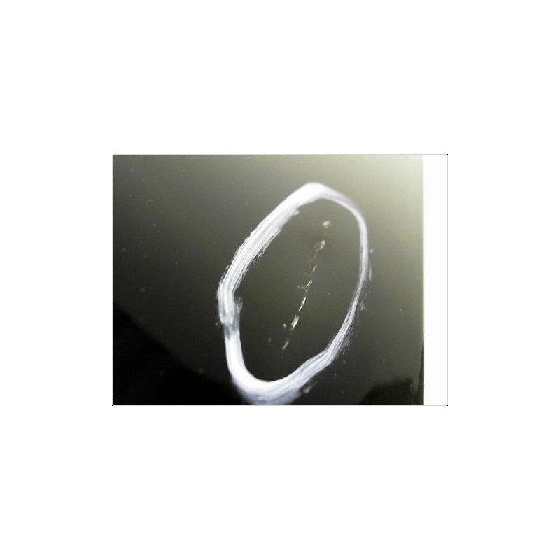 PORTE ARRIERE GAUCHE CITROEN XSARA PICASSO 99-10