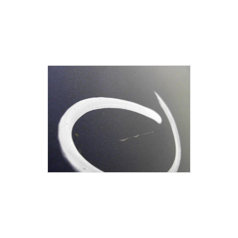 PORTE BATTANTE ARRIERE DROIT RENAULT KANGOO 2000-2003