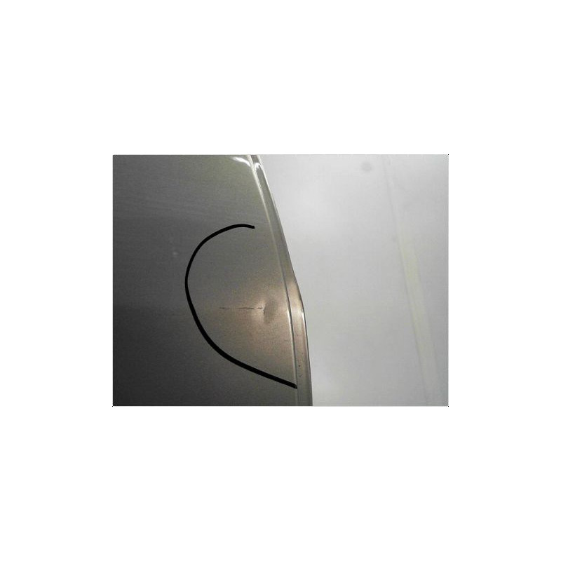 PORTE ARRIERE DROIT RENAULT MEGANE II PH1 ESTATE 03-05