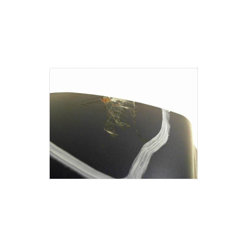 PORTE BATTANTE ARRIERE GAUCHE RENAULT KANGOO 2000-2003