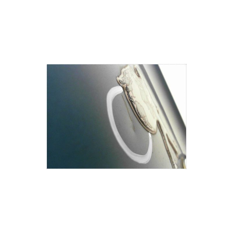 PORTE BATTANTE ARRIERE DROIT RENAULT KANGOO PH2 2003-2007