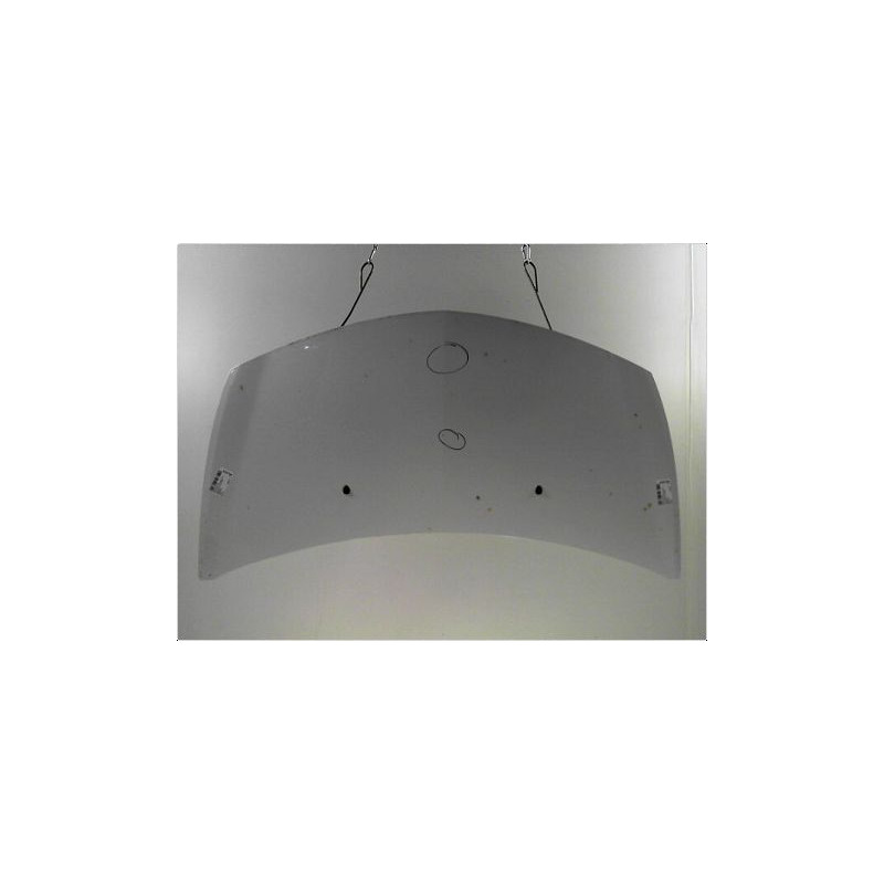 CAPOT RENAULT CLIO III PH.2 09-14