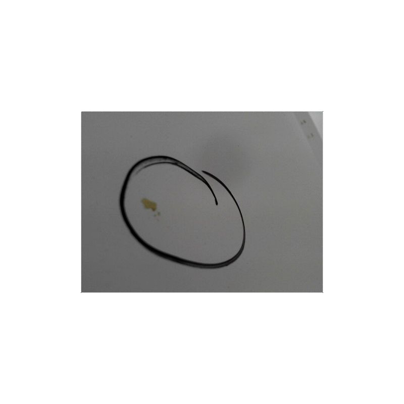 CAPOT RENAULT CLIO III PH.2 09-14