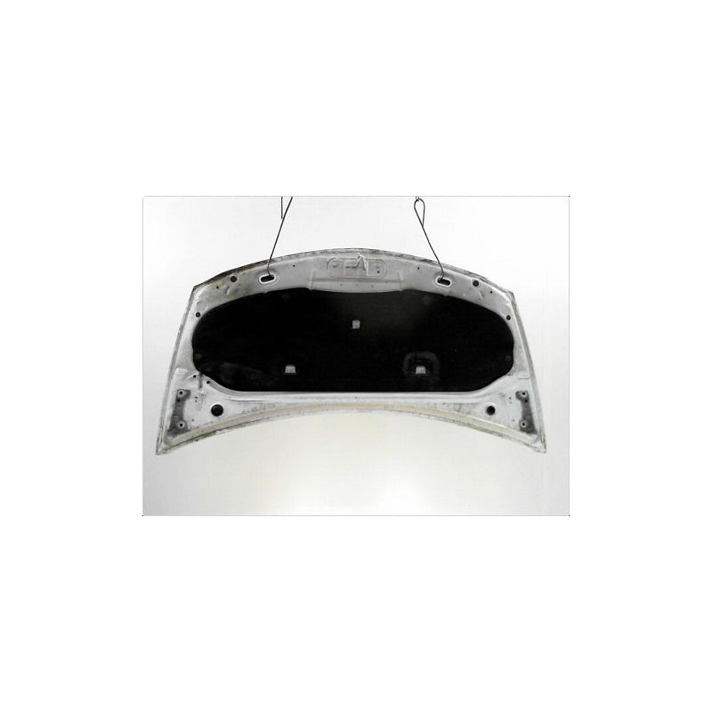 CAPOT RENAULT CLIO III PH.2 09-14