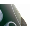 PORTE ARRIERE DROIT RENAULT CLIO II PH.2 01-06