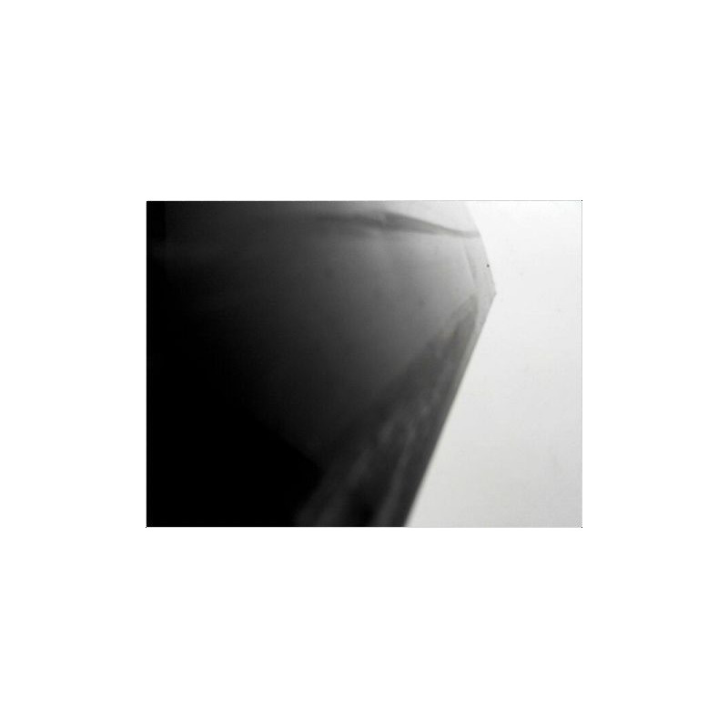 PORTE AVANT GAUCHE RENAULT SCENIC II PH1 02-06
