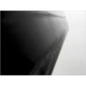 PORTE AVANT GAUCHE RENAULT SCENIC II PH1 02-06