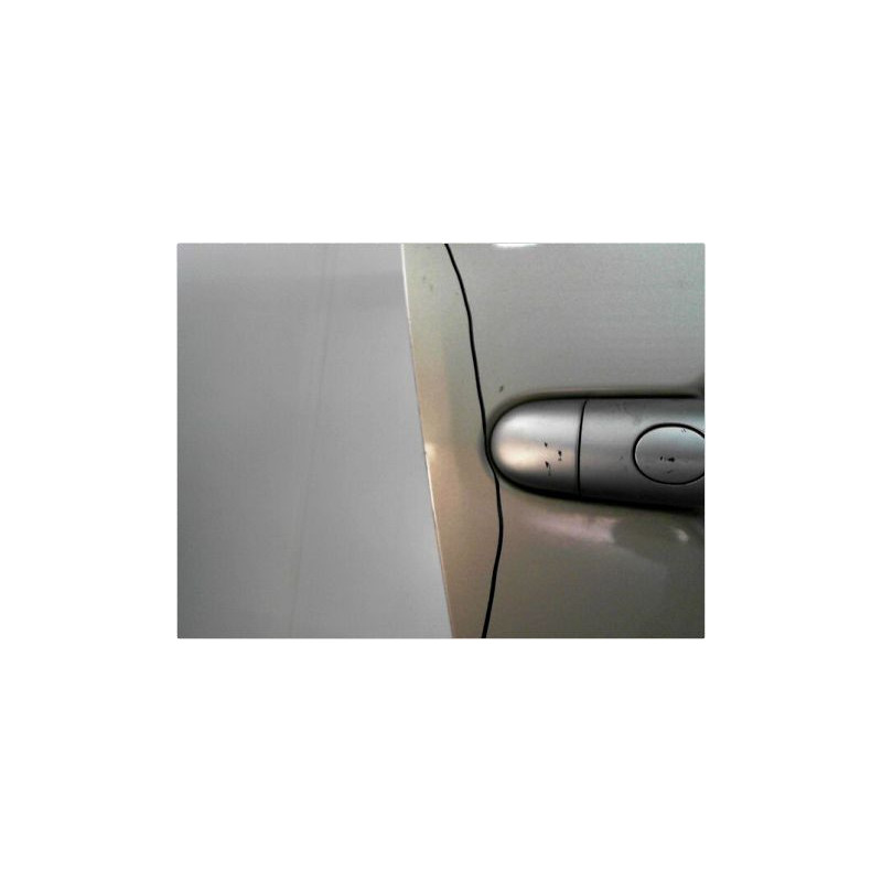 PORTE AVANT DROIT RENAULT SCENIC II PH2 06-09