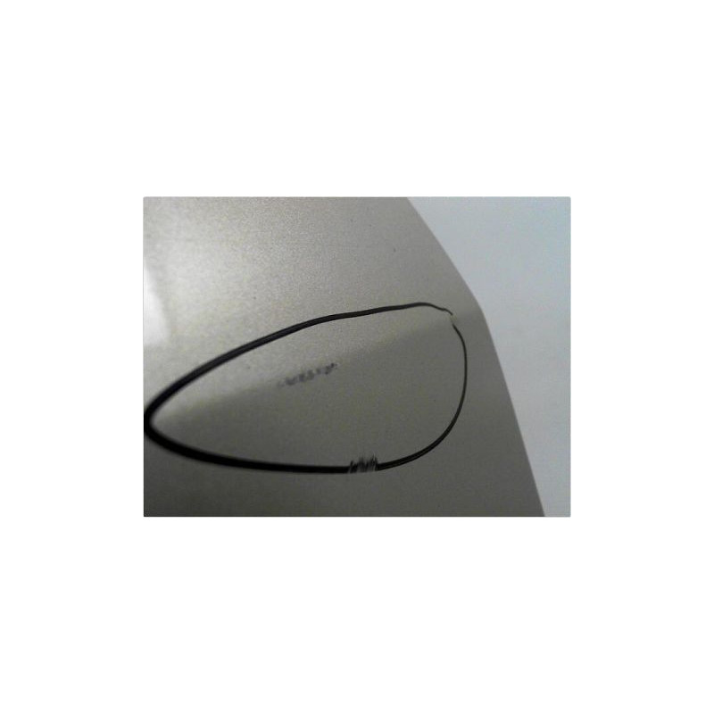 PORTE AVANT DROIT RENAULT SCENIC II PH2 06-09