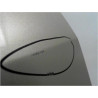 PORTE AVANT DROIT RENAULT SCENIC II PH2 06-09