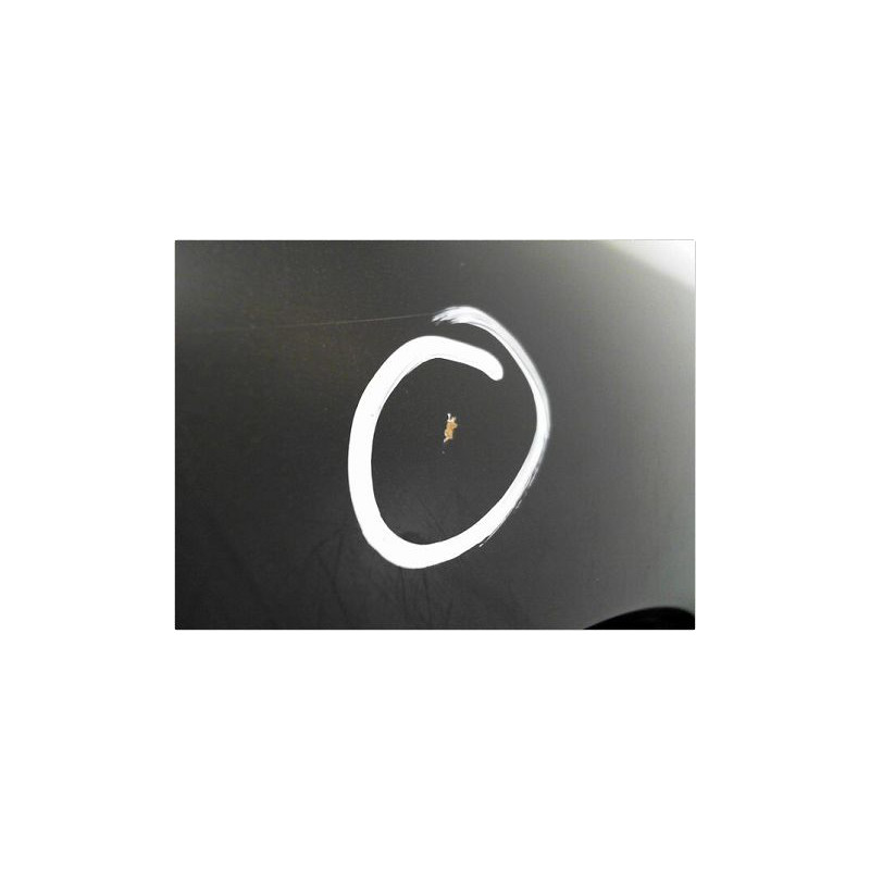 PORTE AVANT GAUCHE OPEL ZAFIRA 2006-