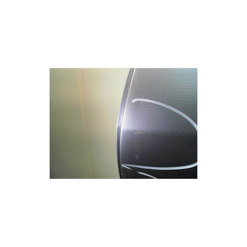 PORTE ARRIERE GAUCHE RENAULT MEGANE III 08-12