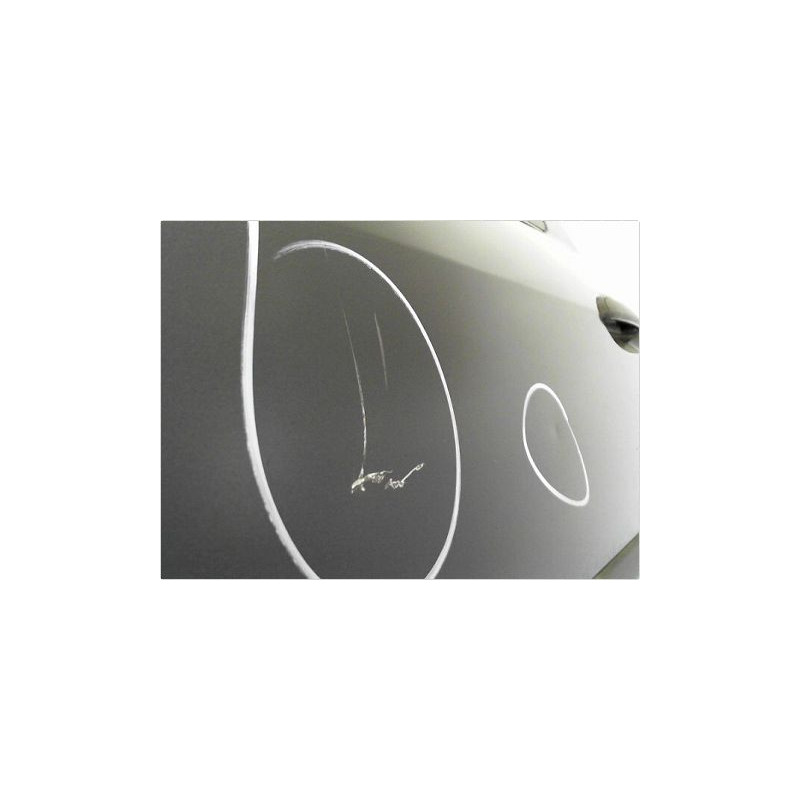 PORTE ARRIERE GAUCHE DACIA LOGAN 4 P 05-08