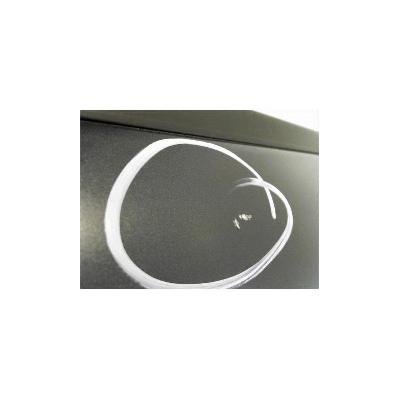 PORTE ARRIERE GAUCHE DACIA LOGAN 4 P 05-08