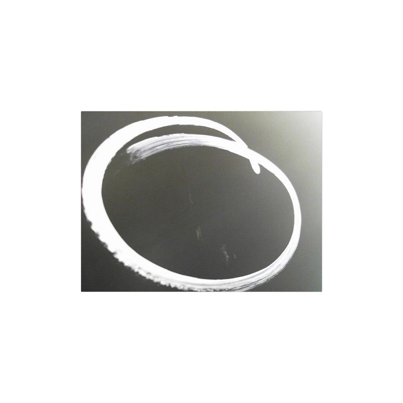 PORTE ARRIERE GAUCHE HONDA CIVIC 2006-