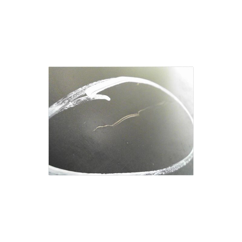 PORTE AVANT GAUCHE OPEL CORSA (D) 06-10