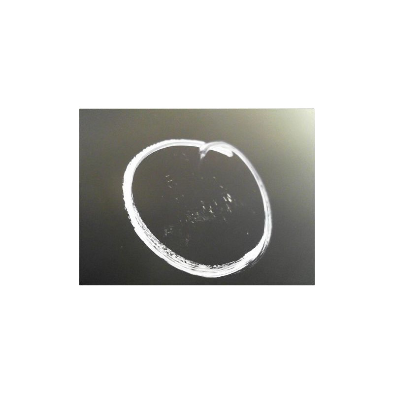 PORTE AVANT GAUCHE FORD FIESTA 05-08