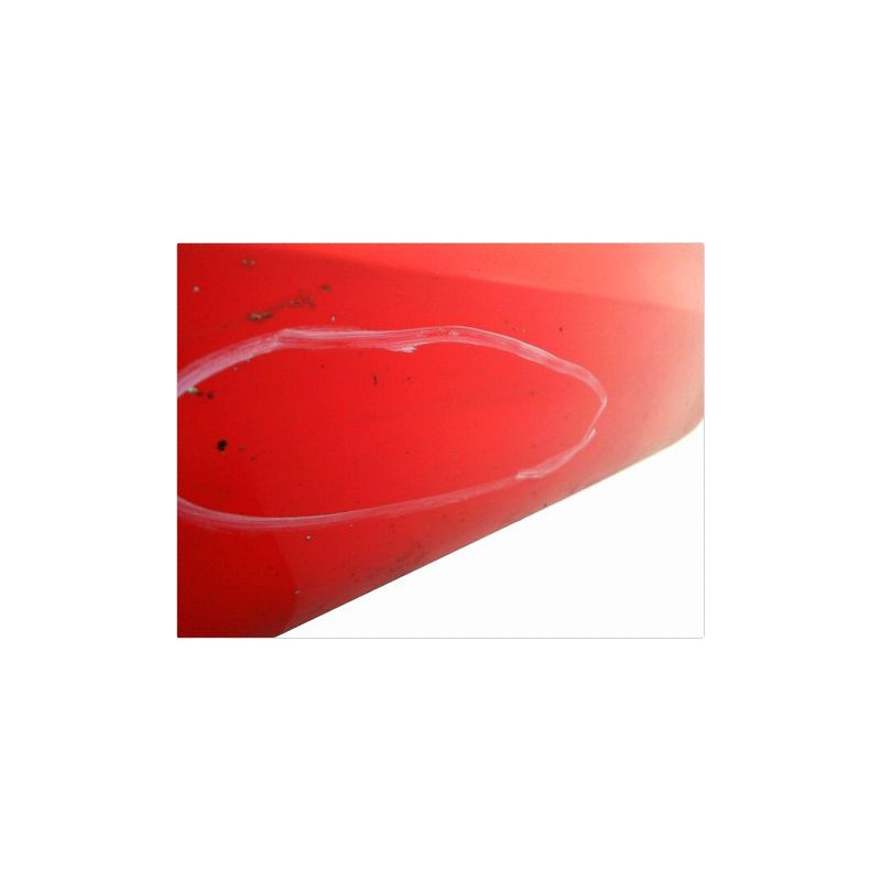 PORTE AVANT GAUCHE OPEL CORSA (C) 03-06