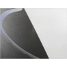 PORTE ARRIERE DROIT AUDI A4 2001-2004
