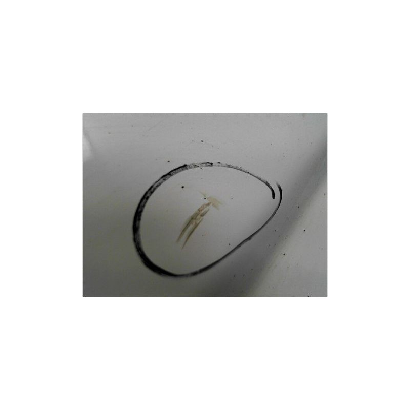 PORTE AVANT GAUCHE OPEL VIVARO C1 PH2 F2700 06-15