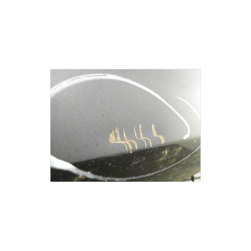 PORTE AVANT GAUCHE FORD FOCUS II 08-10