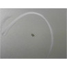 PORTE ARRIERE DROIT HONDA CIVIC 06-2011