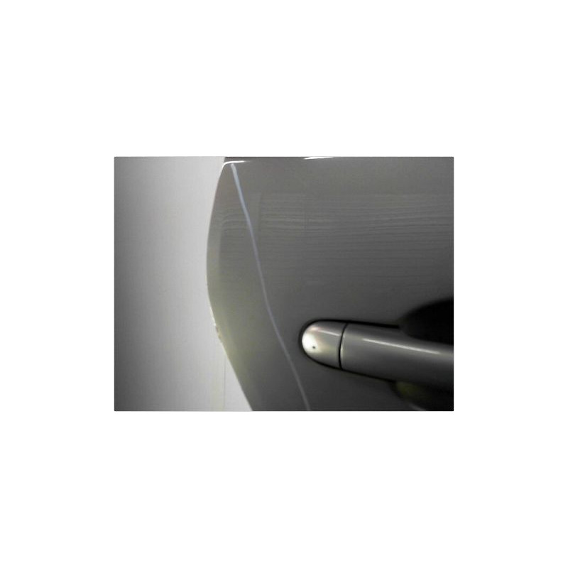 PORTE ARRIERE DROIT RENAULT SCENIC II PH1 02-06