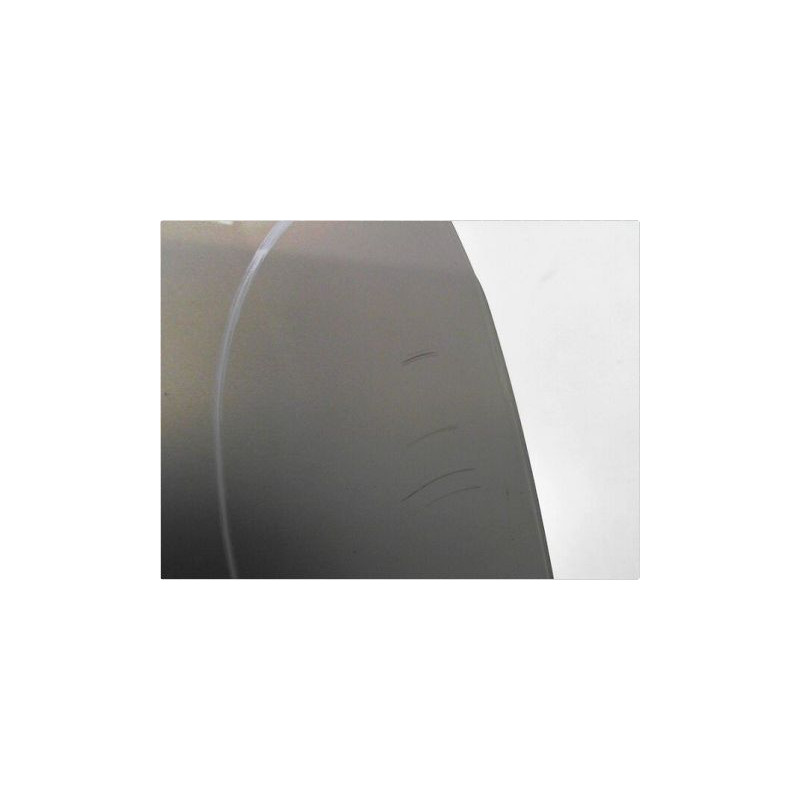 PORTE ARRIERE DROIT RENAULT SCENIC II PH1 02-06