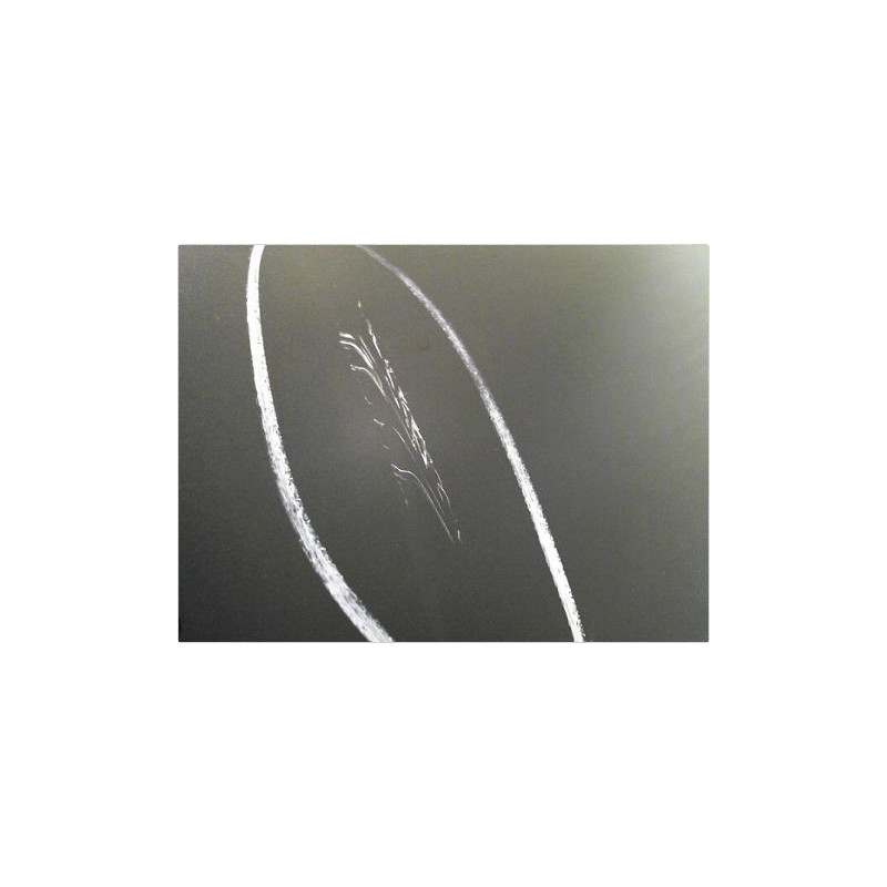 PORTE ARRIERE GAUCHE AUDI A6 2001-2004