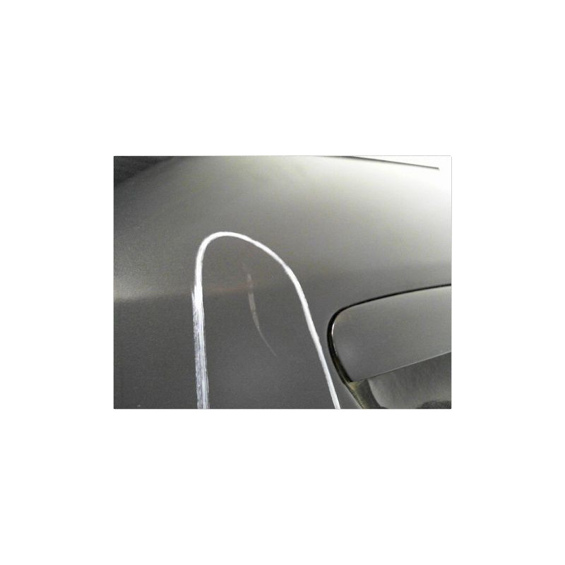 PORTE ARRIERE GAUCHE AUDI A6 2001-2004