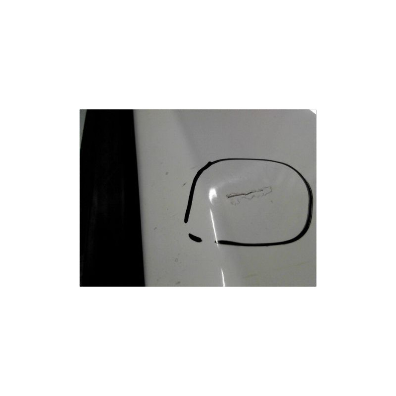 PORTE AVANT GAUCHE FORD TRANSIT CONNECT