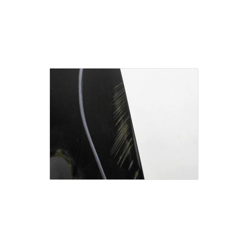 PORTE ARRIERE GAUCHE RENAULT MODUS 2004-2007