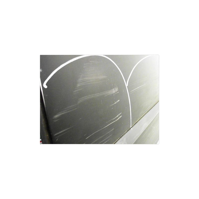 PORTE ARRIERE GAUCHE RENAULT MODUS 2004-2007