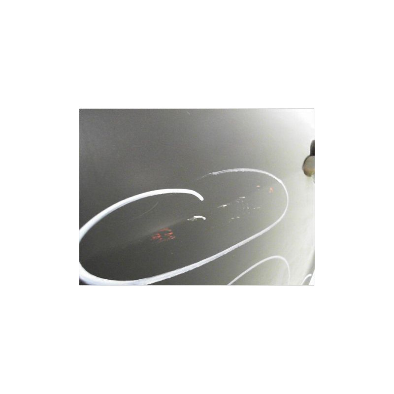 PORTE ARRIERE GAUCHE RENAULT MODUS 2004-2007