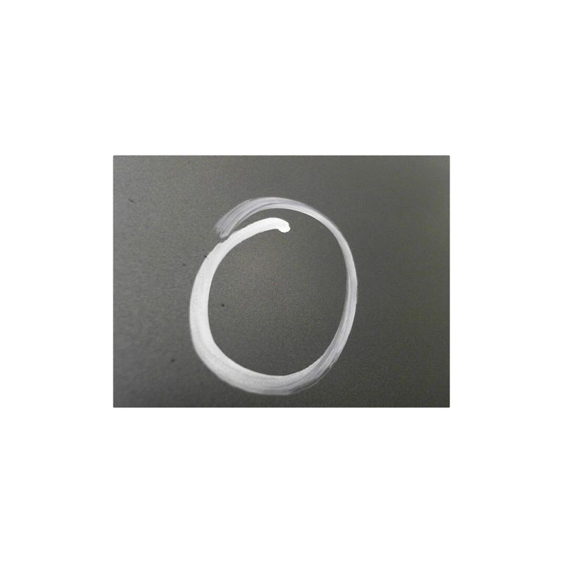 PORTE ARRIERE GAUCHE AUDI A4 99-2001