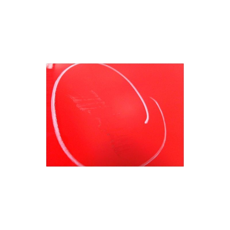 PORTE AVANT GAUCHE OPEL CORSA (D) 06-10