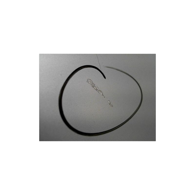 PORTE AVANT DROIT VOLKSWAGEN POLO III PH2 99-2001
