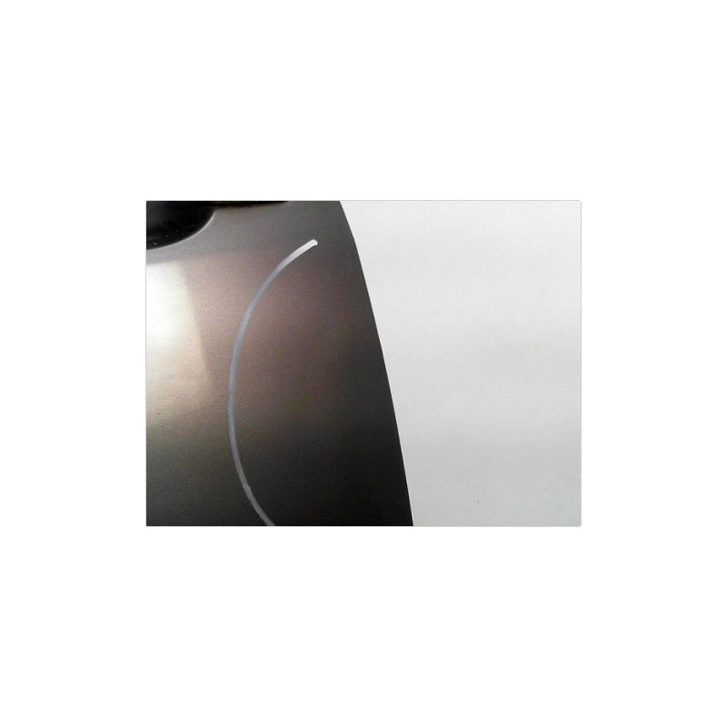 PORTE AVANT GAUCHE RENAULT MEGANE II PH2 C.C 06-09