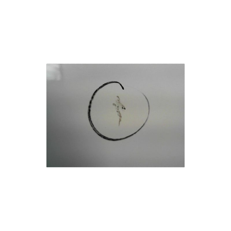 PORTE AVANT DROIT PEUGEOT 207 SW 2007-2013