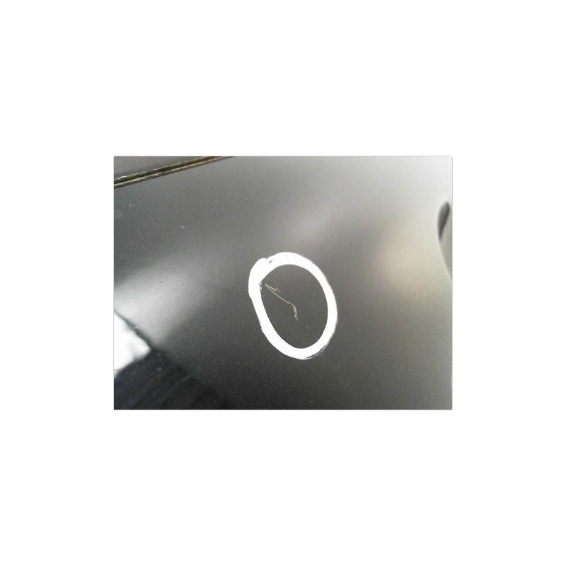PORTE AVANT GAUCHE PEUGEOT 207 06-13