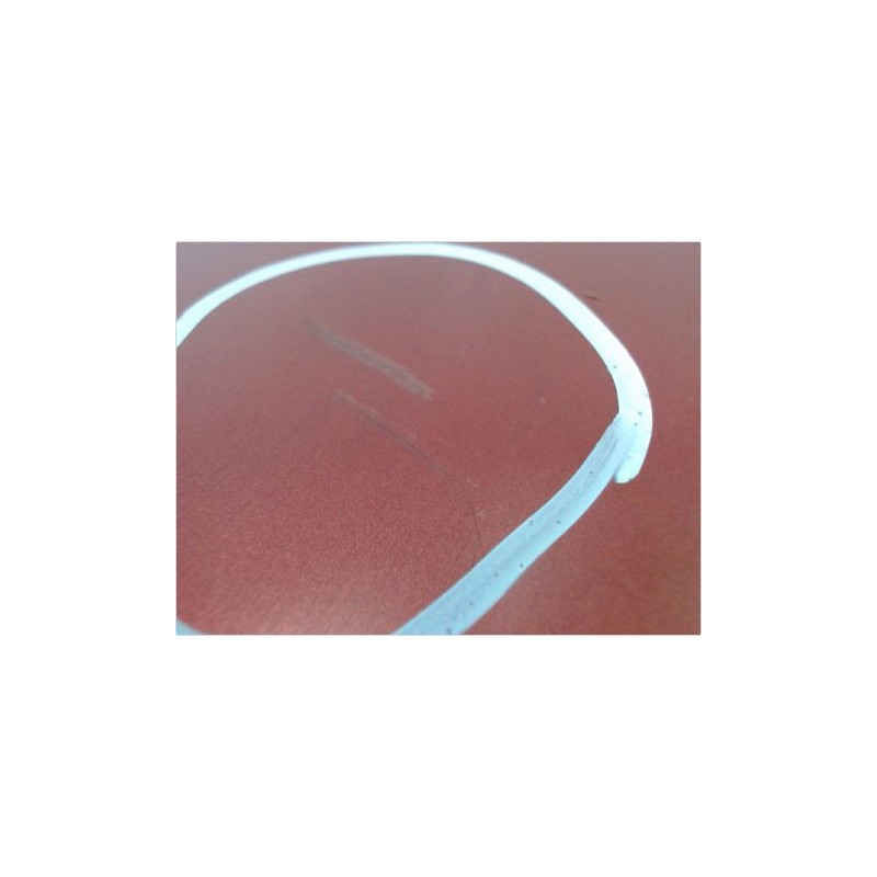 PORTE ARRIERE GAUCHE RENAULT MODUS 2004-2007