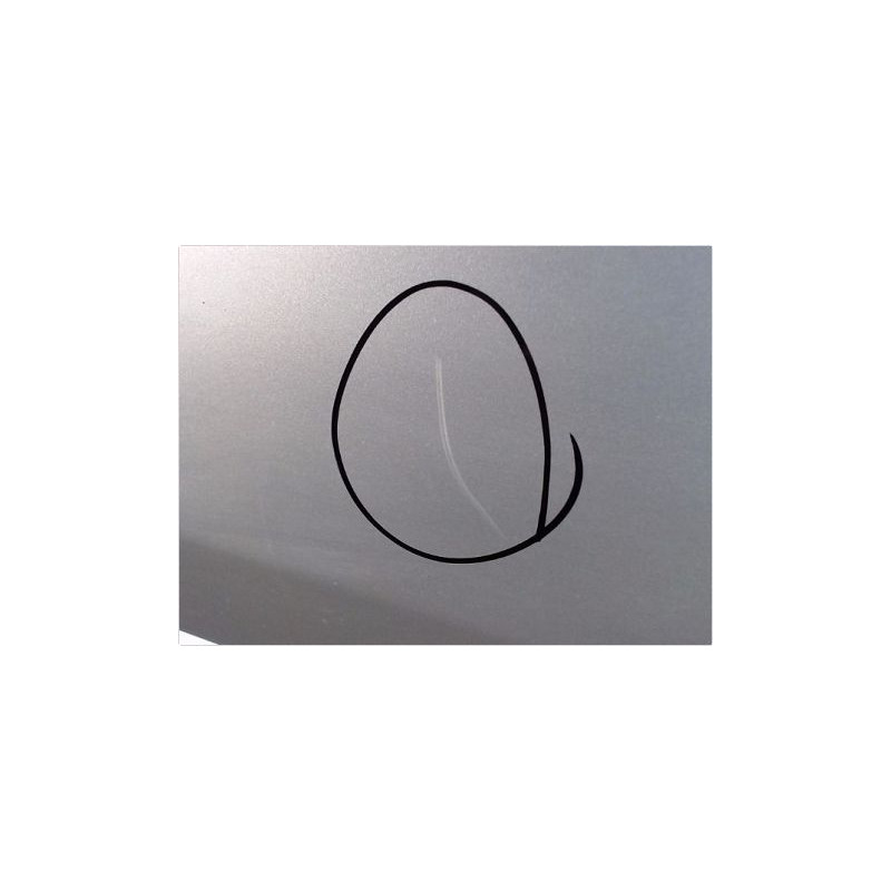 PORTE ARRIERE GAUCHE CHRYSLER 300 C